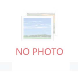 2025具身智能機器人十大發(fā)展趨勢發(fā)布